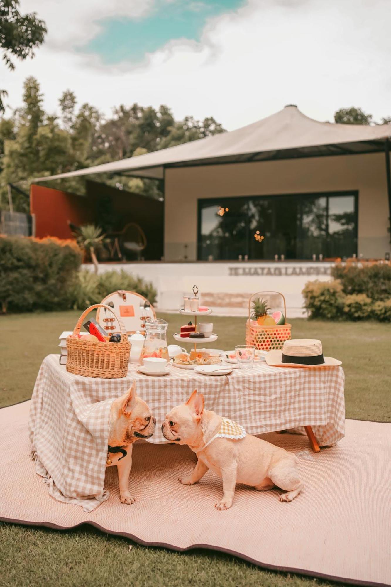 Te Mata Glamping Otel Nong Nam Daeng Dış mekan fotoğraf